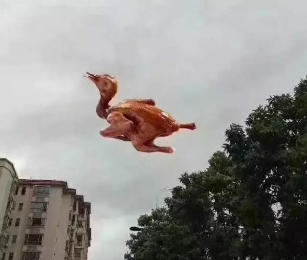 “天鴿”登陸了又怎樣，智彤印刷正常發(fā)放福利！