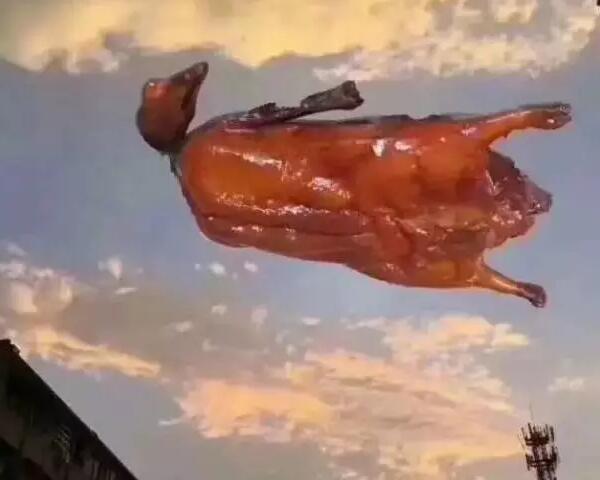 “天鴿”登陸了又怎樣，智彤印刷正常發(fā)放福利！