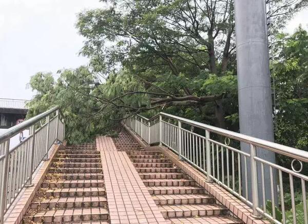 “天鴿”登陸了又怎樣，智彤印刷正常發(fā)放福利！